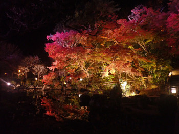 池の左側