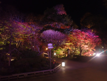 山門側から見る夜景