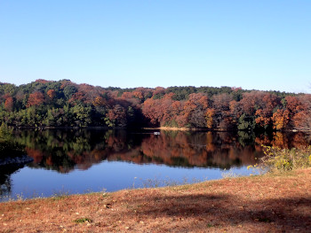 秋の宮沢湖