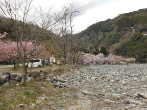 数百ｍに渡り川側サイトが続く