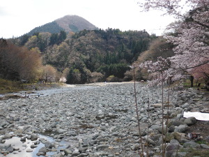 川を隔てた景観も気持ちがいい