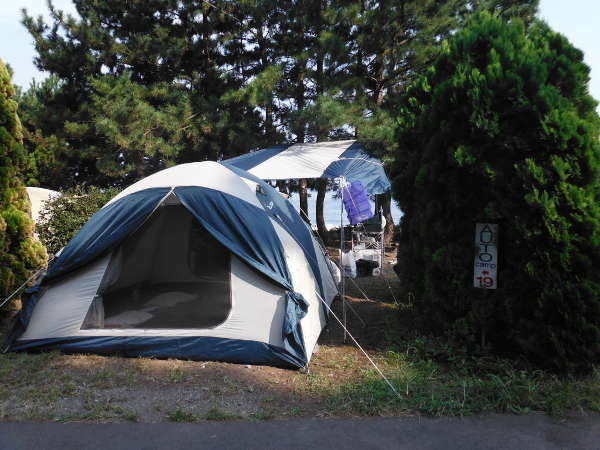 なみのこ村オートキャンプ場