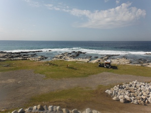 お台場海浜庭園磯浜側サイトＡの左側