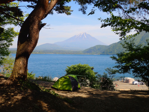 富士山と本栖湖が見渡せる林間エリア
