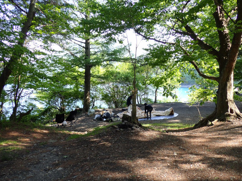 木が遮るが富士山と本栖湖が見れる広いサイト