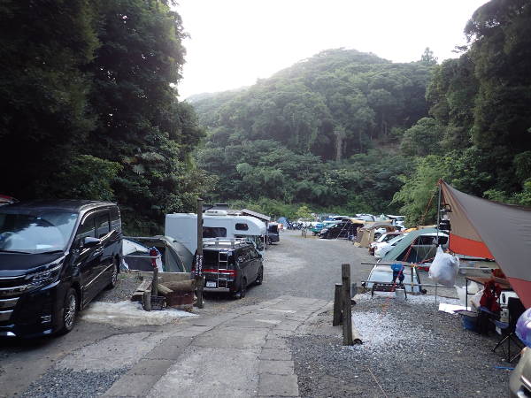 原生林に囲まれているオートキャンプin勝浦まんぼう(2019/08/12)