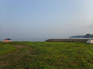 岡本川側サイトの景観