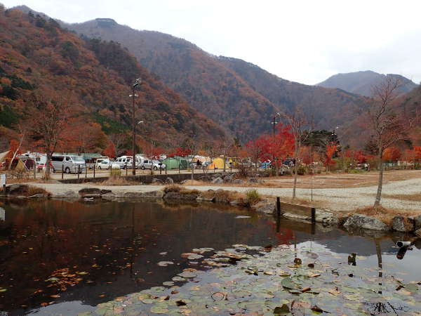 ちびっこ釣堀から見た中央にあるオートキャンプサイトの全景