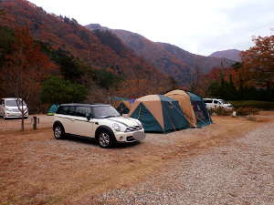 紅葉した渓谷側の山肌を望む