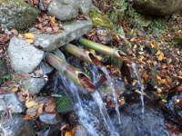 天然の「湧き水場」