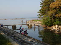 松島への橋は、子どもたちの遊び場