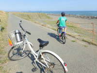 柳島キャンプ場でレンタルした自転車手前が大人用で奥が子ども用