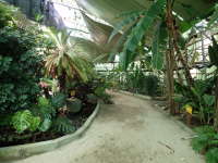 ドーム内の熱帯植物園