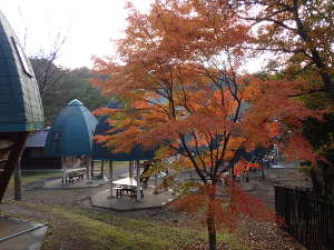 紅葉のロッジ村