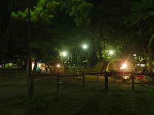 野島公園キャンプ場の夜