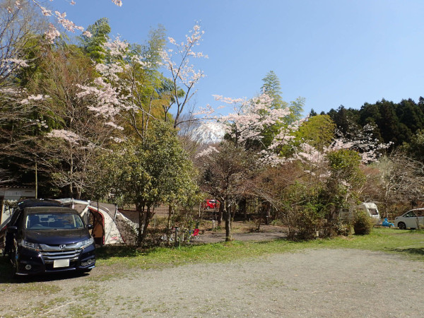 新富士オートキャンプ場から見える富士山(2018/04/08)