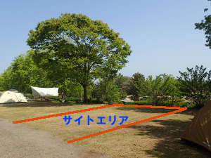 第1オートキャンプサイトの区画