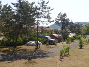 第４オートキャンプサイト内側のサイト