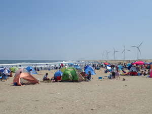海岸線に立ち並ぶ風車