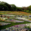 横浜：春を感じる「里山ガーデンフェスタ」