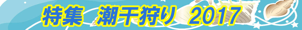 特集　潮干狩り　2017のタイトル画像