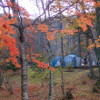 ファミリーキャンプ(28):秋キャンプの楽しみ方