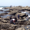 湘南江の島（釜の口/水道口）