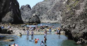 海岸ガイドのタイトル画像