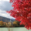 紅葉の丹沢湖