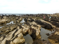 三浦半島荒崎の画像1