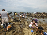 三浦半島　荒崎の目次画像