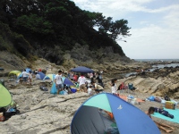 三浦半島荒崎の画像3