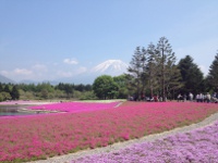 富士本栖湖リゾートの目次画像