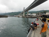 神奈川　早川港(小田原漁港)の目次画像