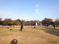 平塚市総合公園の画像3
