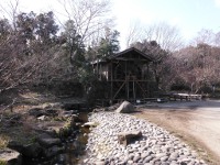泉の森（神奈川県大和市）