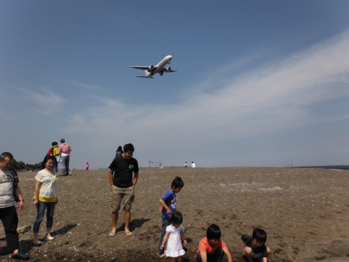 城南島海浜公園の全景画像01