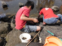 城南島海浜公園の画像05