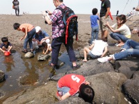 城南島海浜公園の画像06