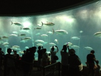 葛西臨海水族園