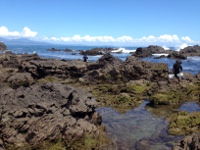 真鶴半島　三ッ石海岸の目次画像