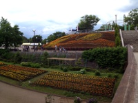 市立相模原麻溝公園の画像2