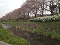 県立　相模三川公園の目次画像