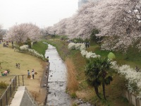 相模三川公園の画像4