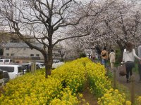 相模三川公園の画像5