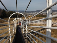 おだわら諏訪の原公園（小田原市）