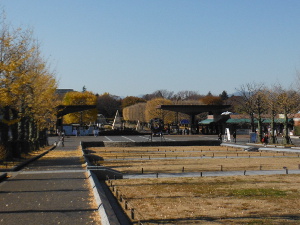 国営昭和記念公園の目次画像