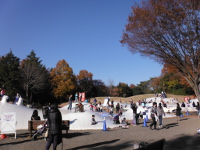 国営昭和記念公園（東京都立川市）