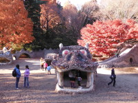 国営昭和記念公園の画像05
