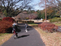 国営昭和記念公園の画像06